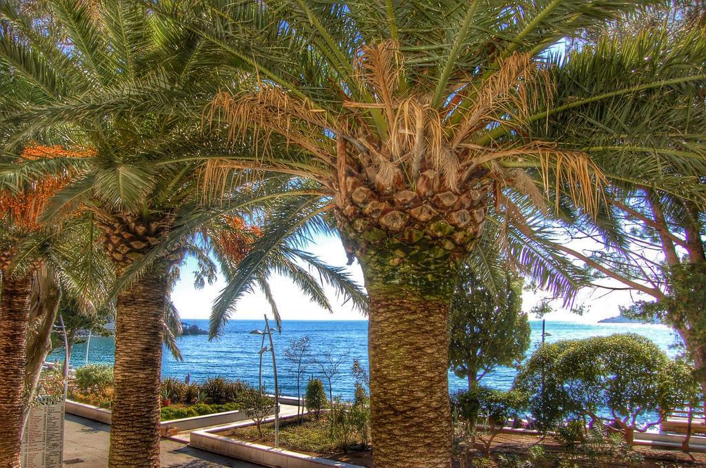Vasiliki Seaside Apartments Petrovac 外观 照片